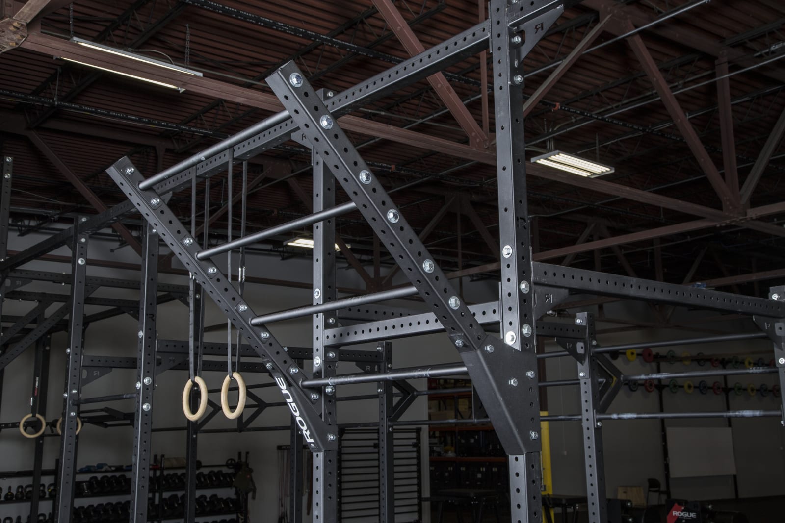 Pull up rack rogue cheap